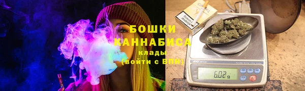 индика Мегион