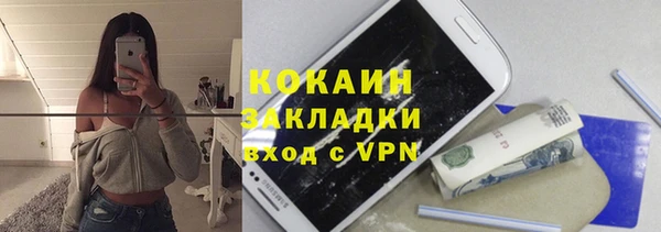 индика Мегион