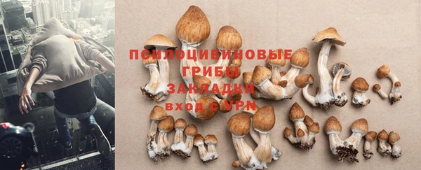 метадон Медвежьегорск