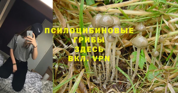 метадон Медвежьегорск