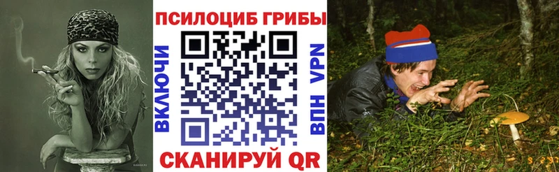 Псилоцибиновые грибы прущие грибы  Купить закладки  Кузнецк 